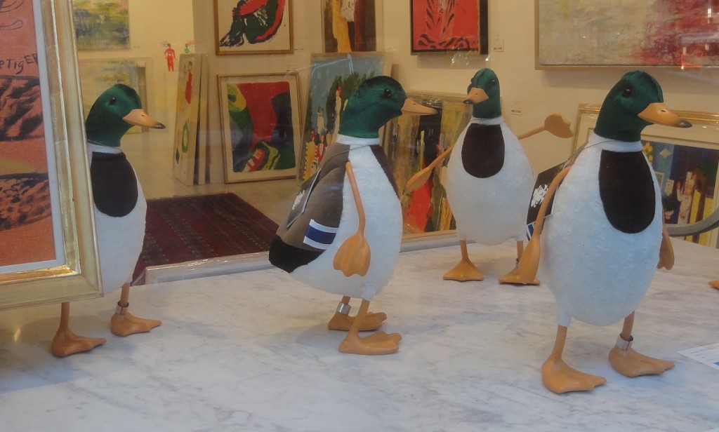 sofoducks